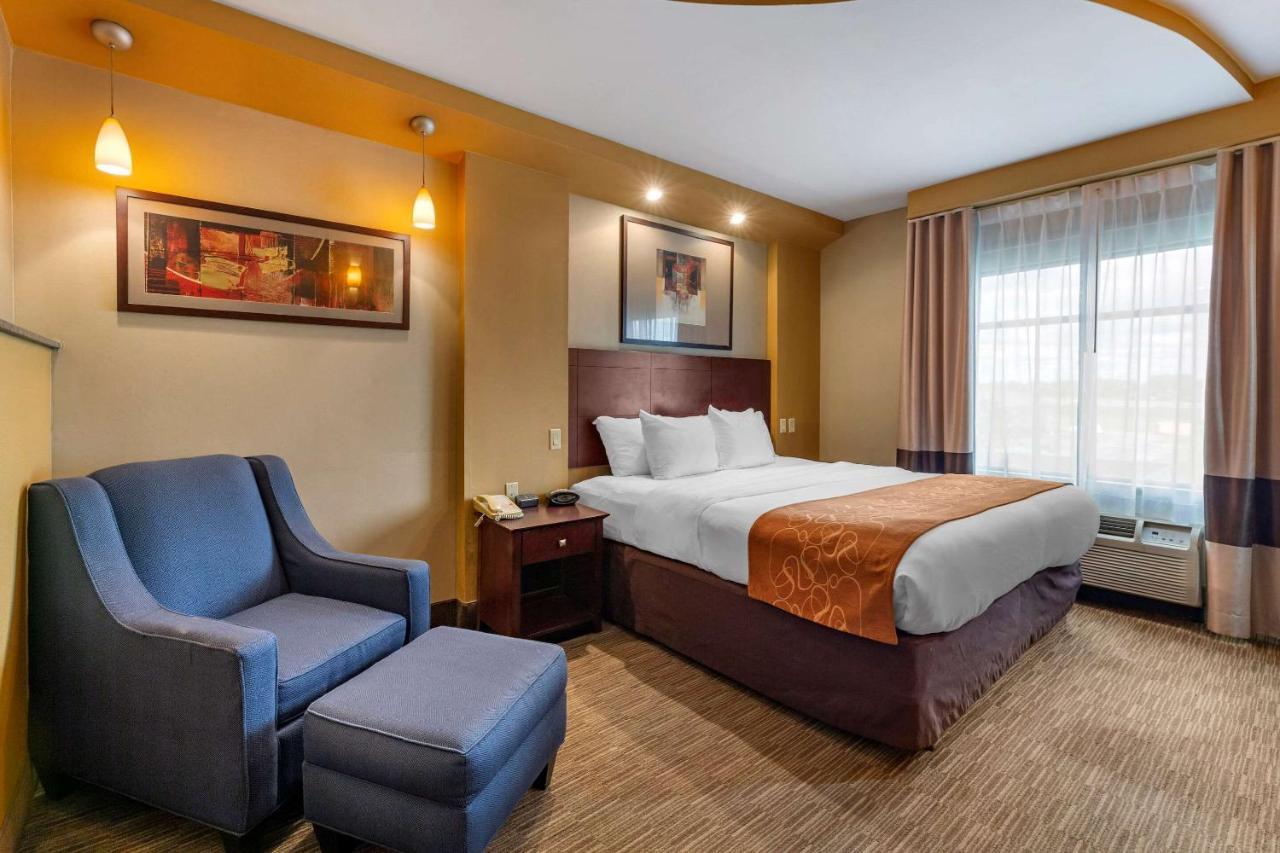 คอมฟอร์ต สวีท เพอริสเบิร์ก - โทเลโด เซาท์ Hotel เพอร์รีส์เบิร์ก ภายนอก รูปภาพ
